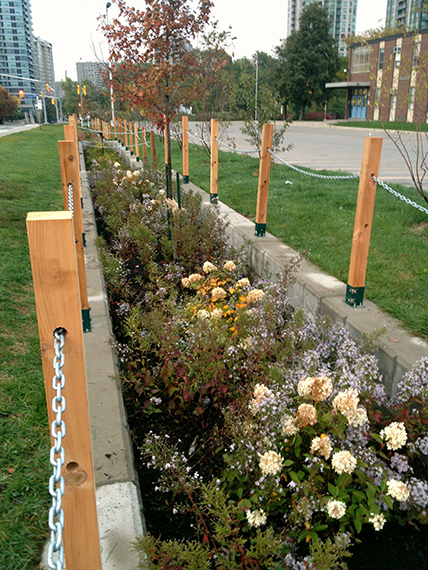 The Elm Drive Rain Garden in Mississauga, Ontario absorbs road runoff.