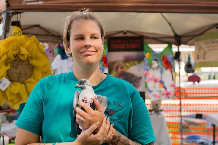 Marg Sapp, Wild Wings Songbird and Crow Rehabilitation