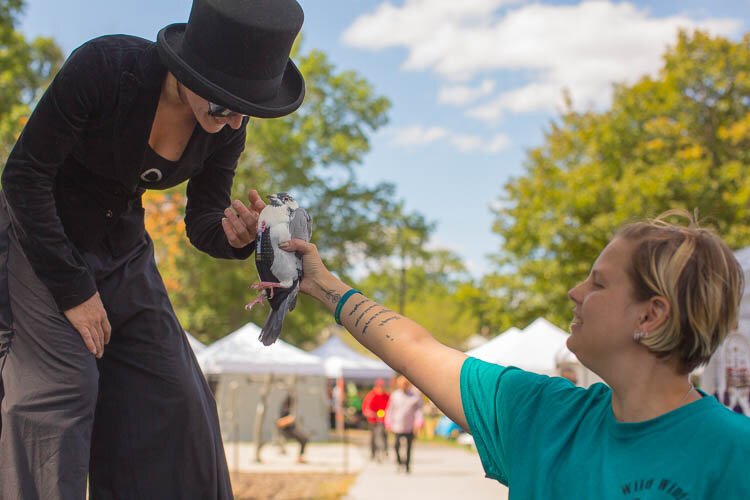 Marg Sapp, Wild Wings Songbird and Crow Rehabilitation