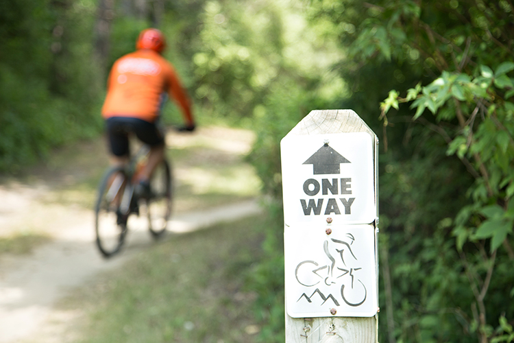 Biking in Addison Oaks. Photo by Jow Powers In Situ Photography.