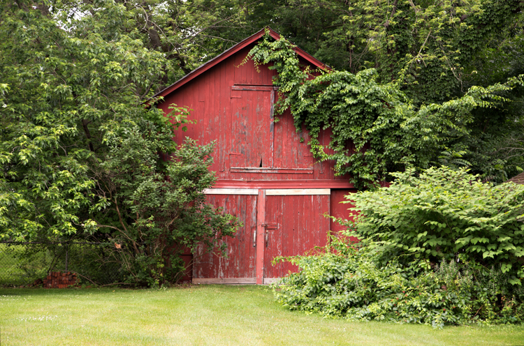 Photo by JOE POWERS In Situ Photography
