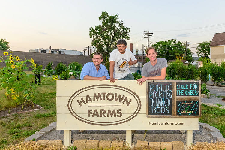 Michael Davis, Fasail Ali and Andrew Rice at Hamtown Farms. Photo by Doug Coombe.