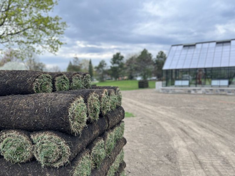 A grand opening celebration for the Community Garden at Nelson Park is scheduled from 6 to 8 p.m. on Thursday, May 1.