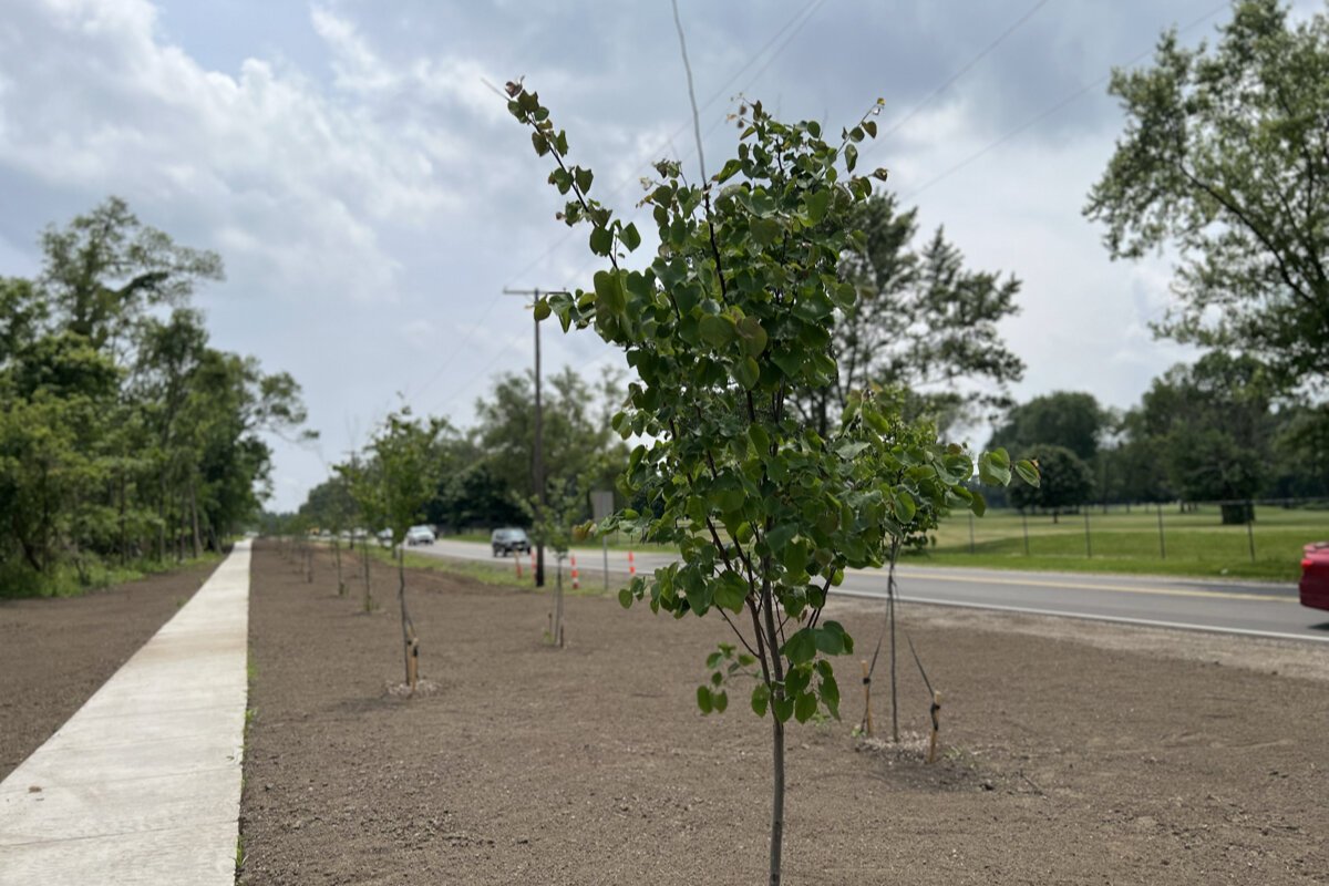 “The Climate Action Plan positions Sterling Heights as a leader in sustainability,” says Sterling Heights Mayor Michael Taylor.