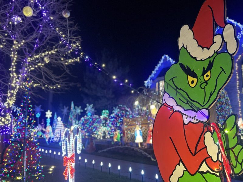 Sterling Heights residents take their Christmas light displays to a whole new level.