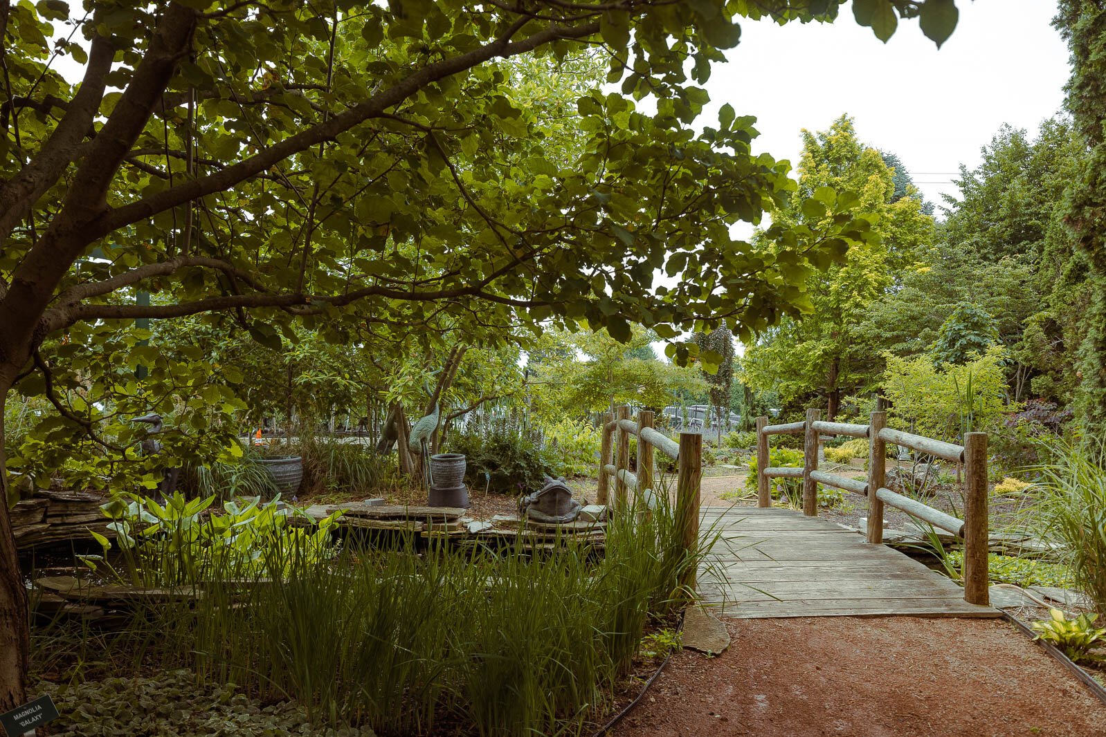 Ray Wiegand’s Nursery 