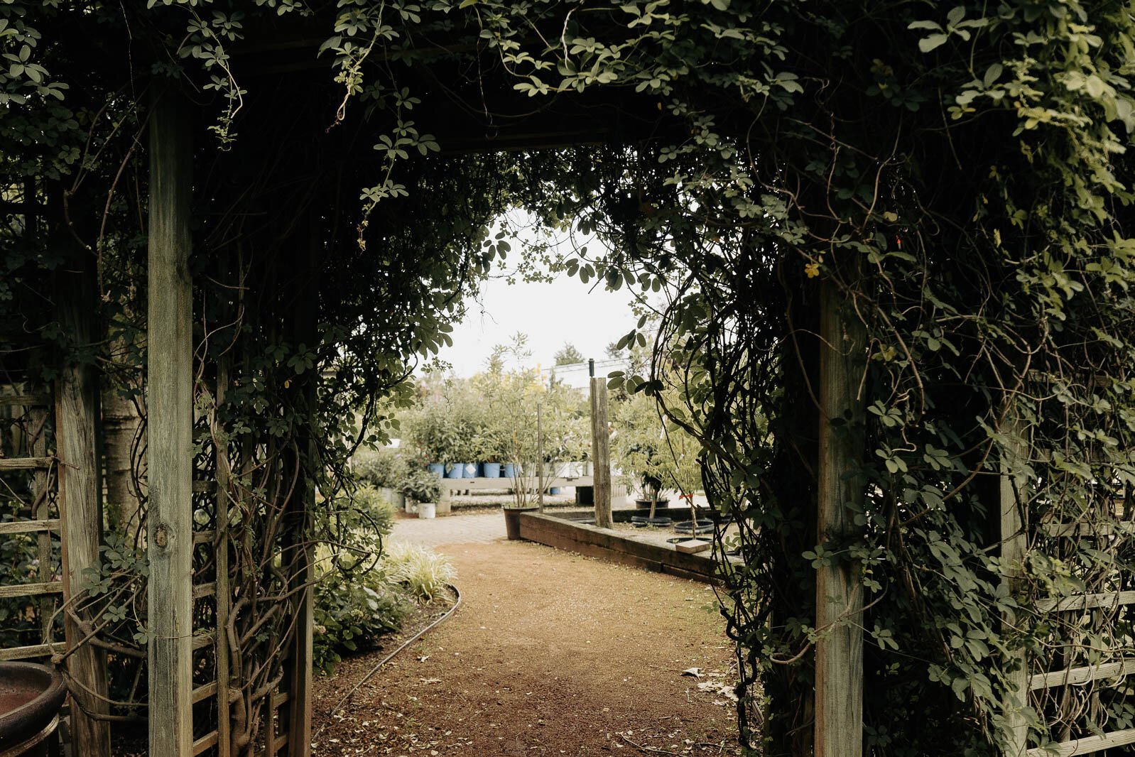 Ray Wiegand’s Nursery 