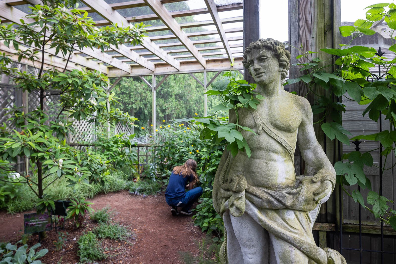 Ray Wiegand’s Nursery 