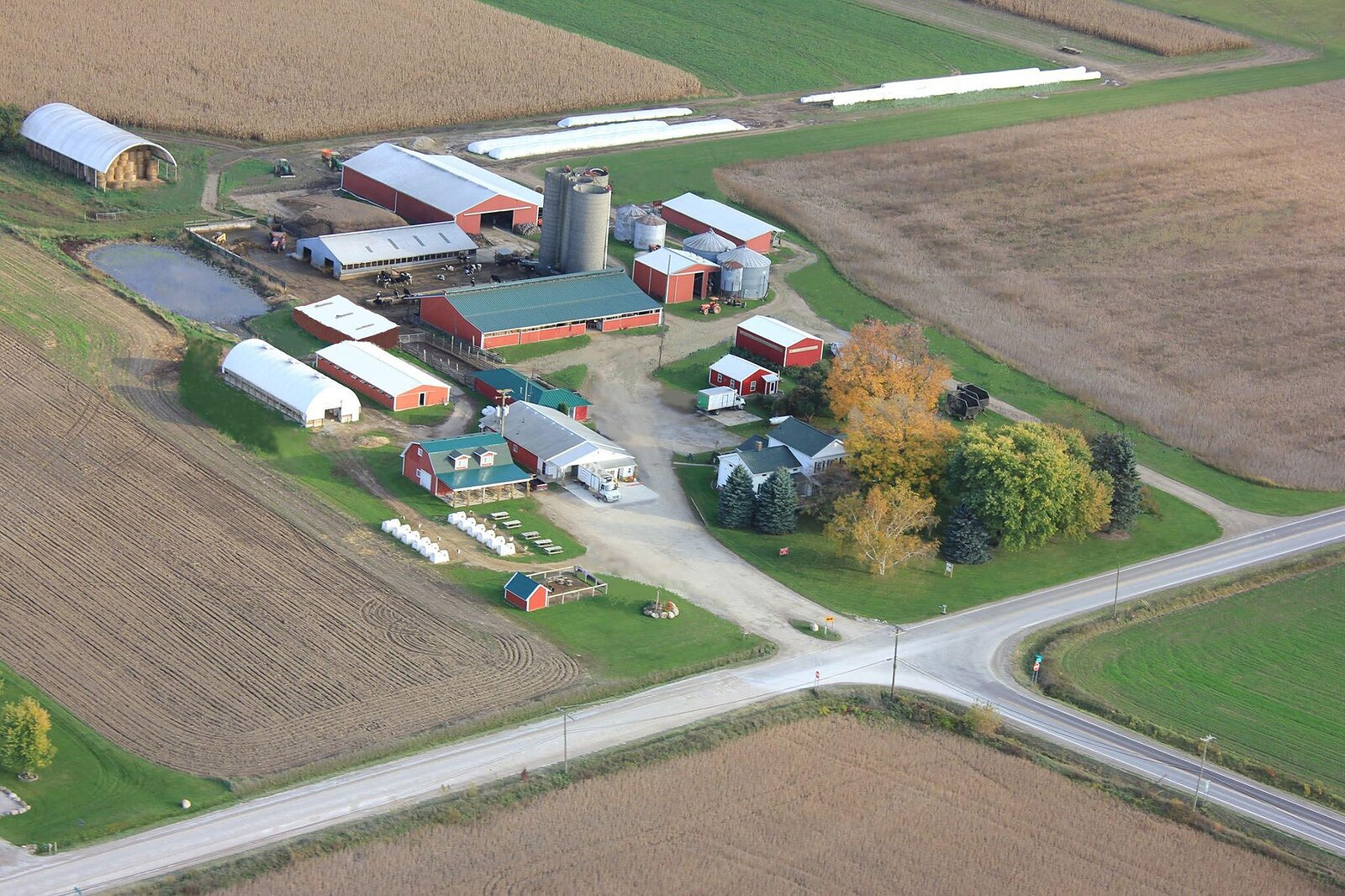  Crooked Creek Farm Dairy in Romeo. Photo: Supplied.
