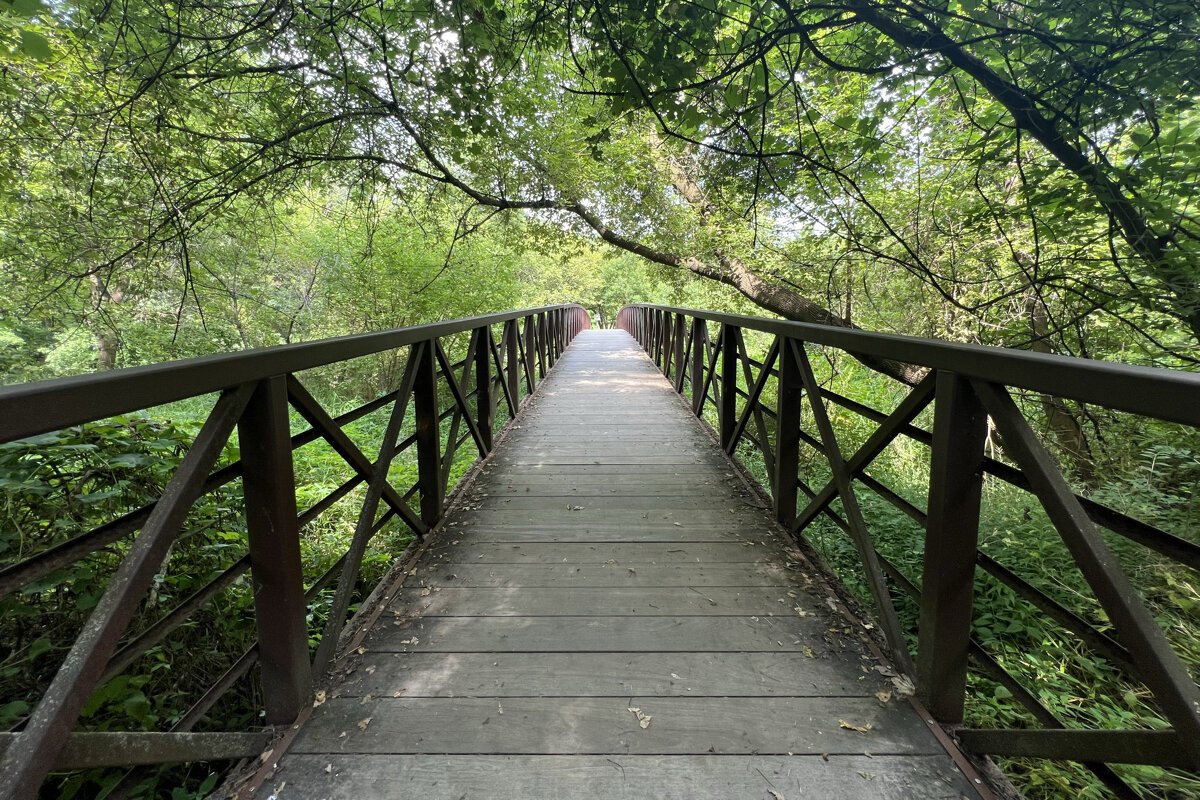 A bridge welcomes dogs across the Clinton River in Sterling Heights.