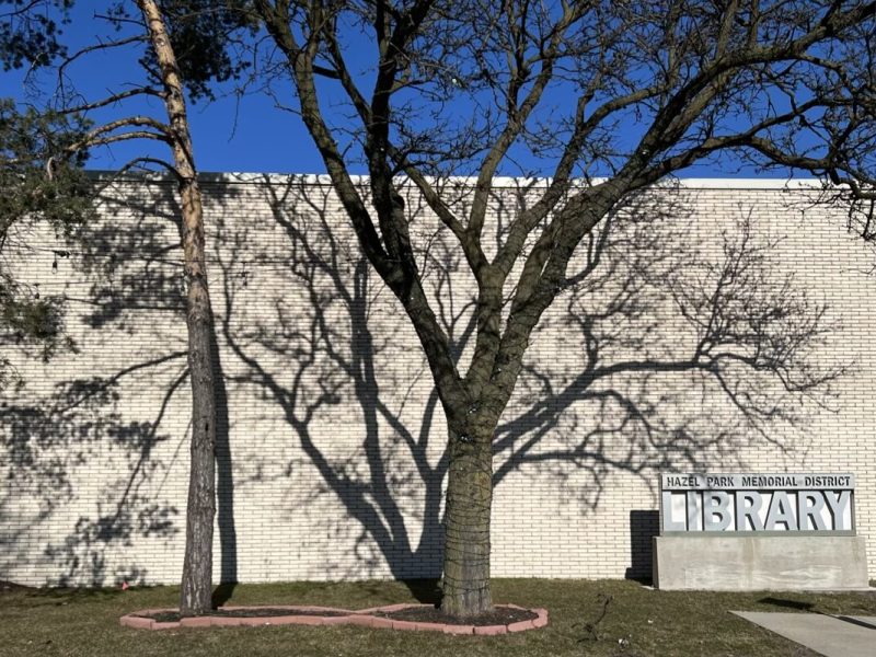 One of two prospective locations for a large-scale mural planned alongside the Hazel Park Library.