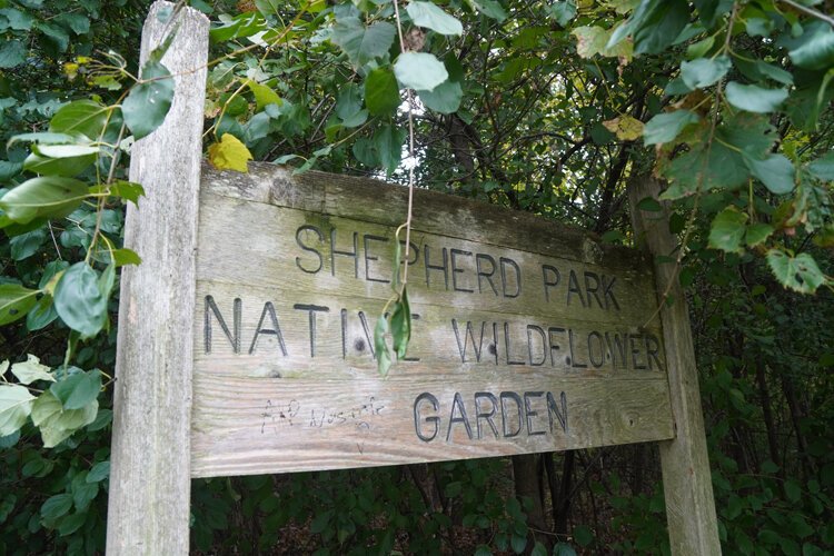 Photo by Martha Mejia.