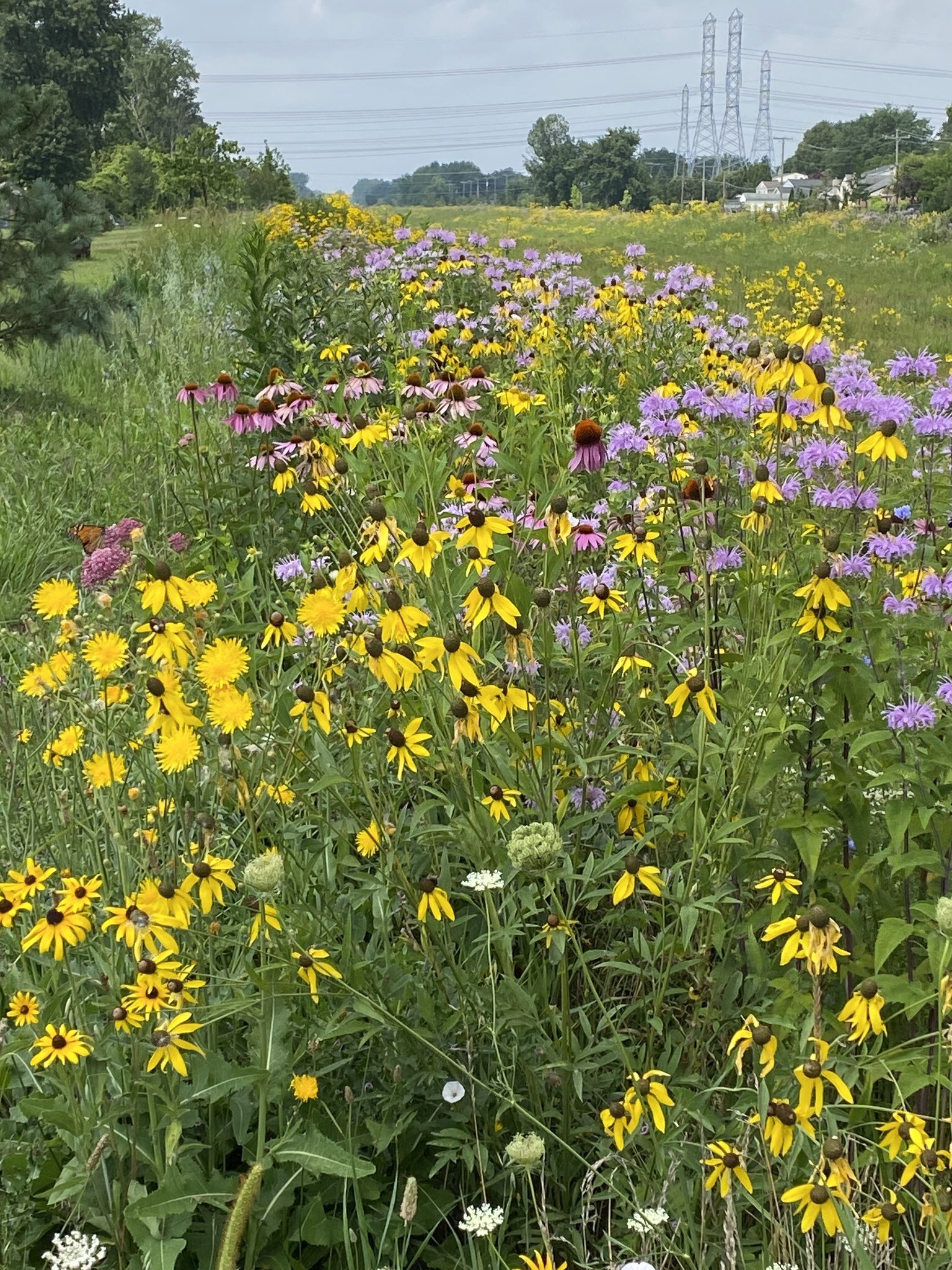 The Butterfly Flyaway in Sterling Heights. (Photo: Macomb County)