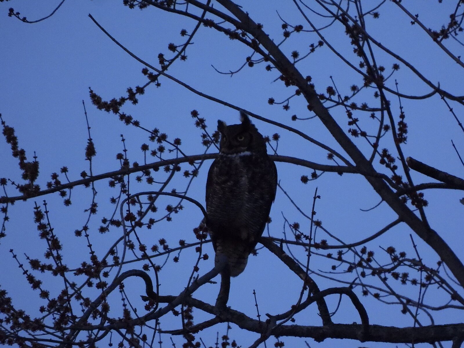 Photo: @haley.outdoors / Instagram