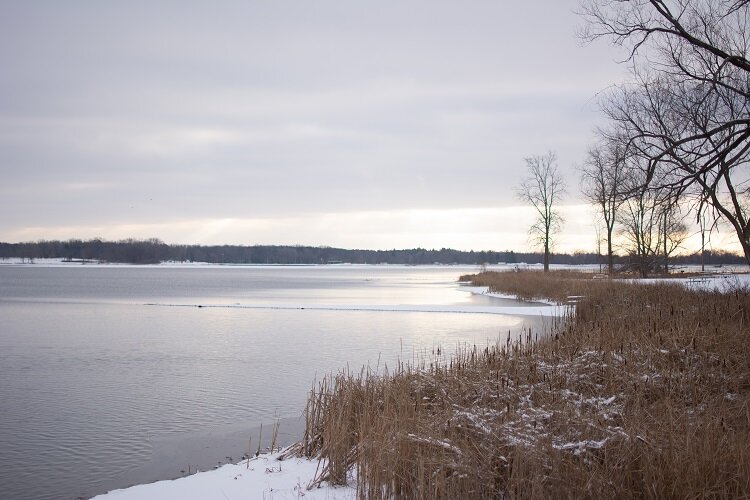 Stony Creek Metropark has special groomed trails for cross-country skiing. (Huron-Clinton Metroparks photo)