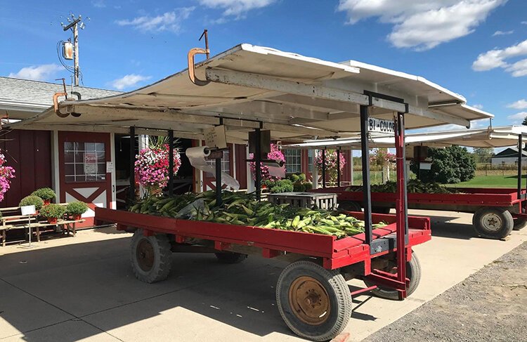 Boyka's Farm received its name from a family nickname. Photo supplied.