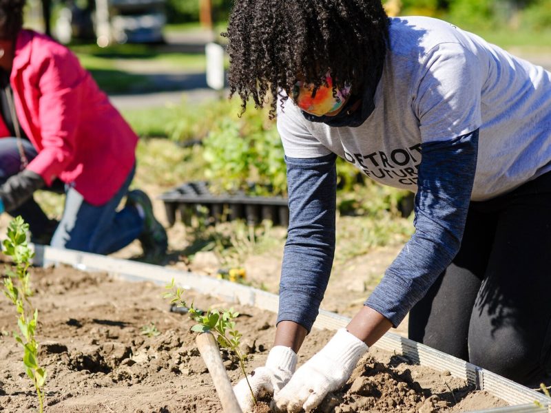Photo courtesy Detroit Future City