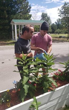 Gardening, working with farm animals, and daily living skills are part of the Adult Special Education programs at Dutton Farm.