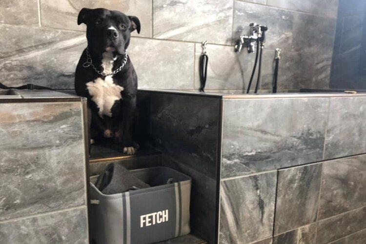 The Dog wash is “very popular with people that live within walking distance to the store,” says Angela Tolonen.