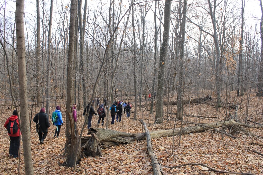 Hike led by the Sierra Club at Farmington Hills Heritage Park. Photo by Jeff Burtka.