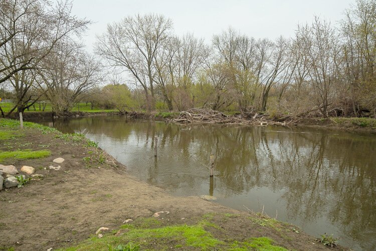 The Clinton River at Budd Park.