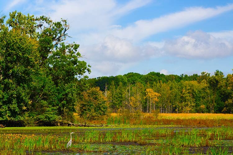 Kensington Metropark in Oakland County.