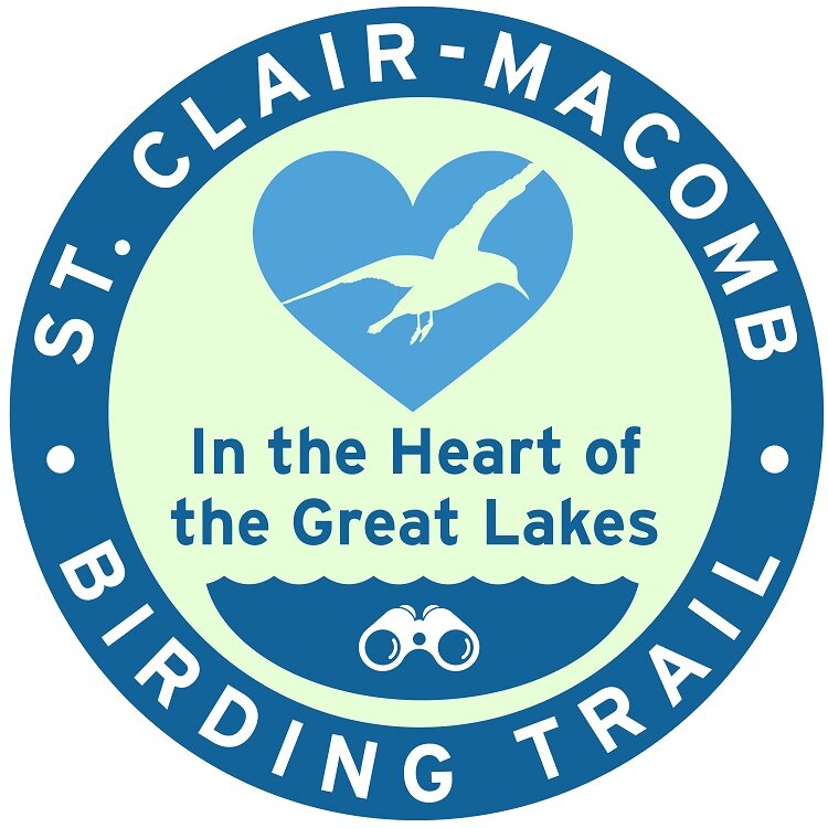 Birding trail logo