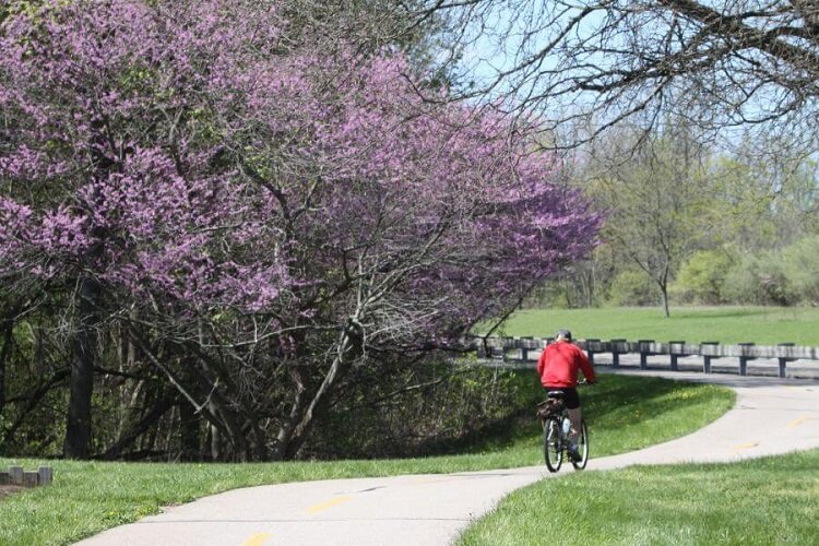 Riding a Biking at Lower Huron Metropark.