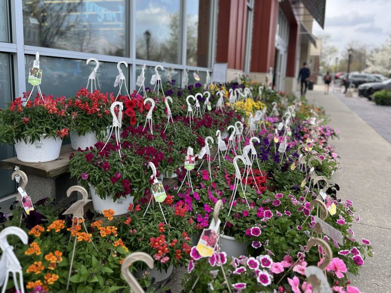 Spring has sprung in downtown Farmington.