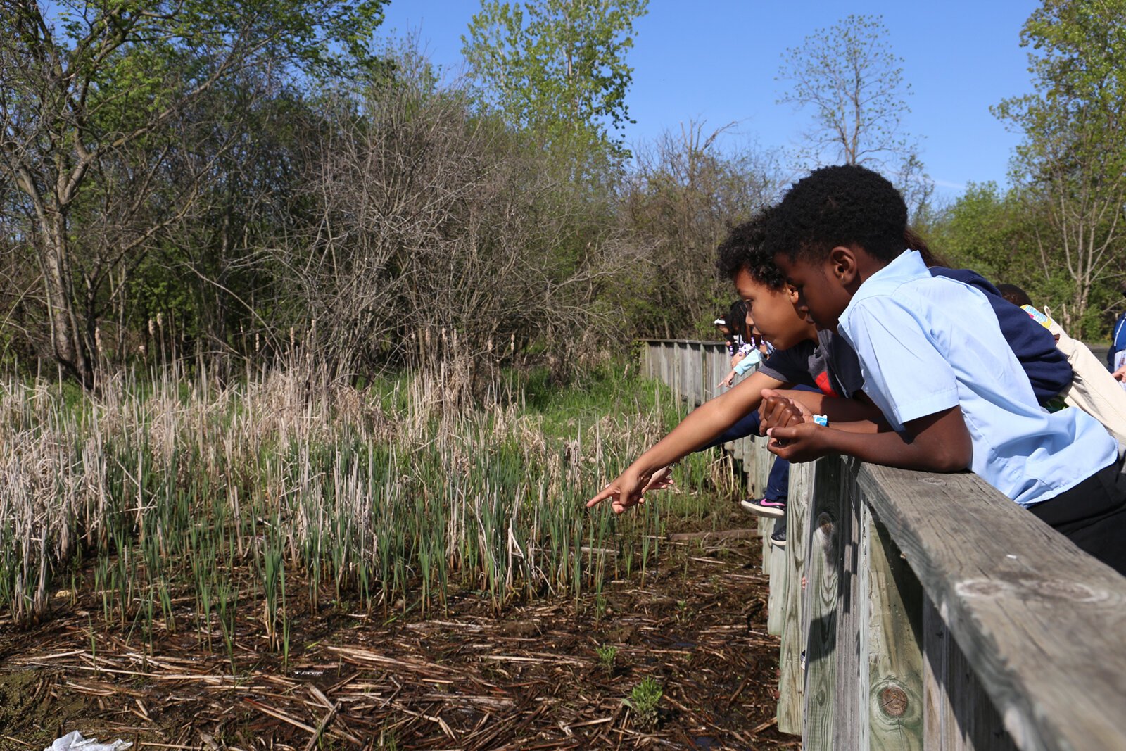 A Metroparks school field trip.