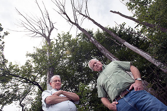 Ron Murray (lft) and John Bedford with dead ash trees in Lansing