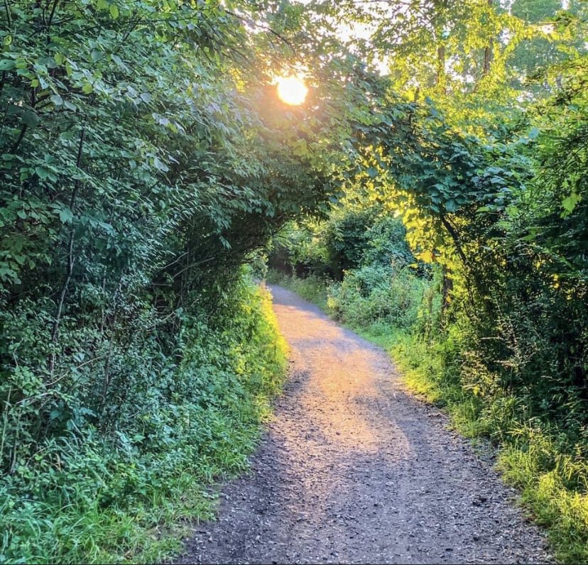 Resident Tami Novara won first place in the Sterling Heights Nature Center's annual photography competition, displayed in a walk-by gallery this year. 