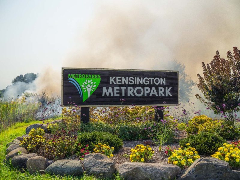 A prescribed burn at Kensington Metropark.