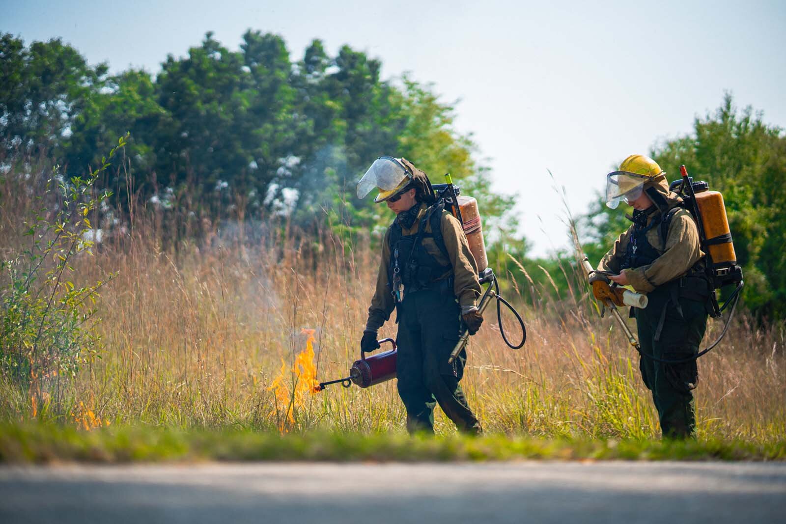 A prescribed burn in the Huron-Clinton Metroparks.